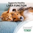 Show in main carousel: Nutramax Denosyl Liver & Brain Health Small Dog & Cat Supplement, 30 count slide 3 of 6