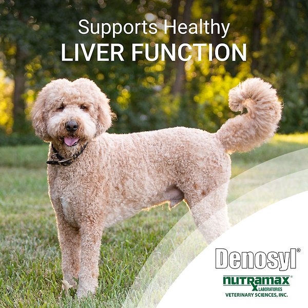 Show full view: Nutramax Denosyl Liver & Brain Health Large Dog Supplement, 30 count slide 3 of 6