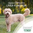 Show in main carousel: Nutramax Denosyl Liver & Brain Health Large Dog Supplement, 30 count slide 3 of 6