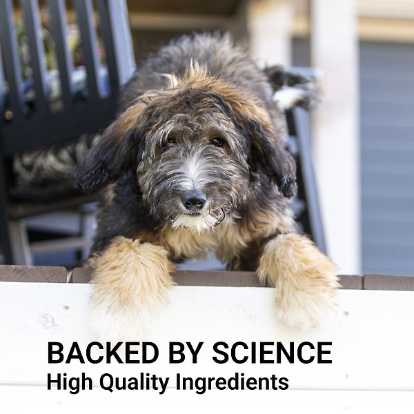 Show full view: Nutramax Denosyl Liver & Brain Health Large Dog Supplement, 30 count slide 5 of 6