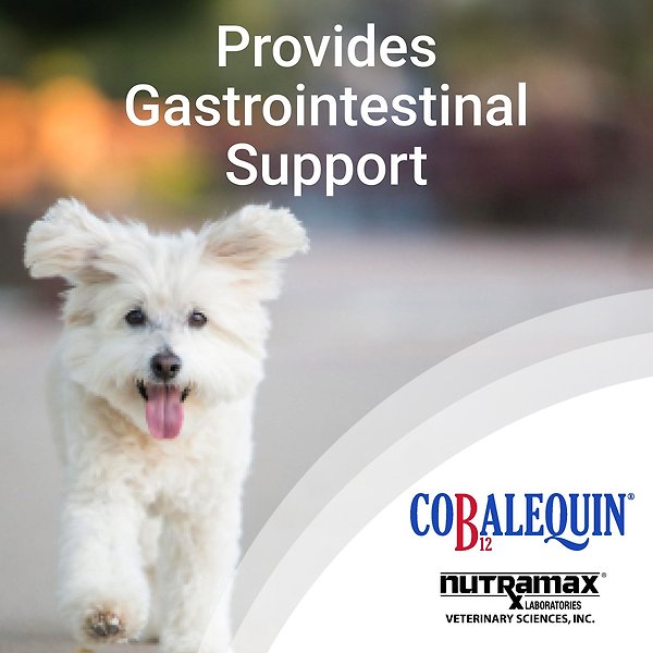 Show full view: Nutramax Cobalequin B12 Small Dog & Cat Supplement, 45 count slide 3 of 6