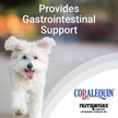 Show in main carousel: Nutramax Cobalequin B12 Small Dog & Cat Supplement, 45 count slide 3 of 6
