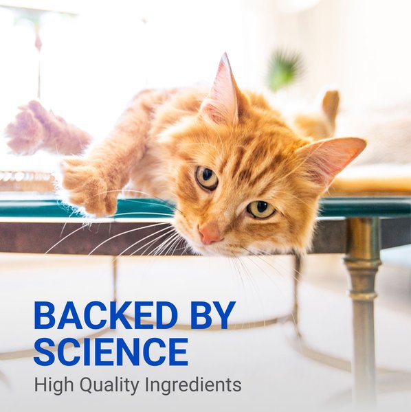 Show full view: Nutramax Cobalequin B12 Small Dog & Cat Supplement, 45 count slide 5 of 6