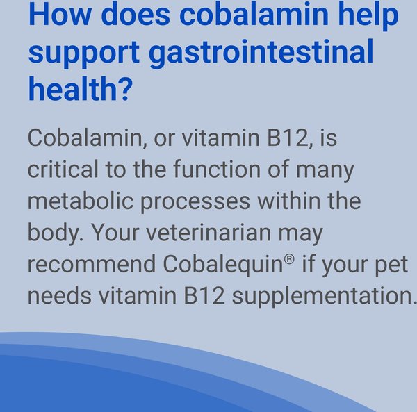 Show full view: Nutramax Cobalequin B12 Small Dog & Cat Supplement, 45 count slide 6 of 6
