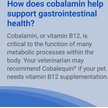 Show in main carousel: Nutramax Cobalequin B12 Small Dog & Cat Supplement, 45 count slide 6 of 6