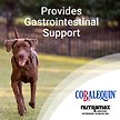 Show in main carousel: Nutramax Cobalequin B12 Medium Dog Supplement, 45 count slide 3 of 7