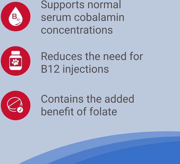 Show full view: Nutramax Cobalequin B12 Medium Dog Supplement, 45 count slide 6 of 7