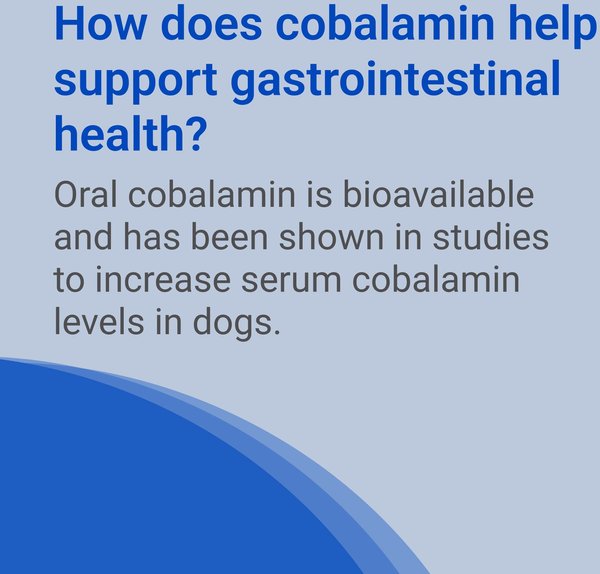 Show full view: Nutramax Cobalequin B12 Medium Dog Supplement, 45 count slide 7 of 7