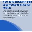 Show in main carousel: Nutramax Cobalequin B12 Medium Dog Supplement, 45 count slide 7 of 7