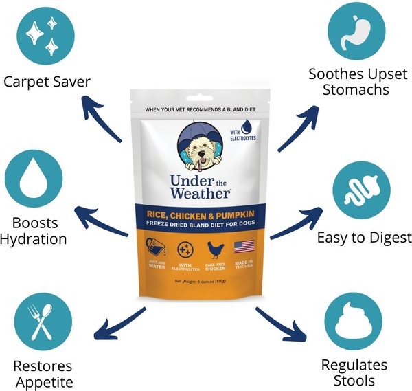 Show full view: Under the Weather Rice, Chicken & Pumpkin Freeze-Dried Dog Food, 6-oz bag, 3 count slide 3 of 8