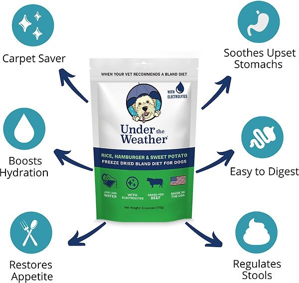 Show full view: Under the Weather Rice, Hamburger & Sweet Potato Freeze-Dried Dog Food, 6-oz bag, 3 count slide 3 of 8