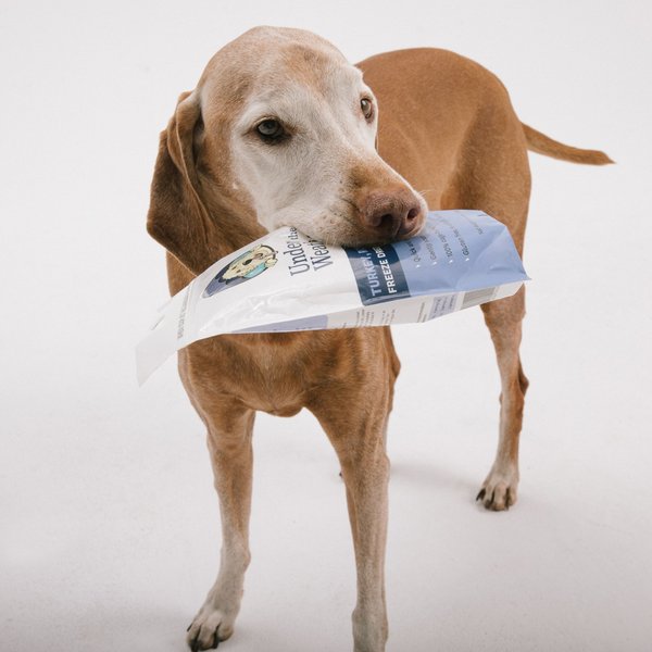 Show full view: Under the Weather Rice, Turkey & Sweet Potato Freeze-Dried Dog Food, 6-oz bag, 3 count slide 7 of 8