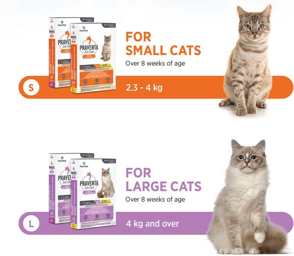 Show full view: Parapet Praventa Flea Treatment for Cats, 2.3-4 kg, 6 count slide 5 of 7