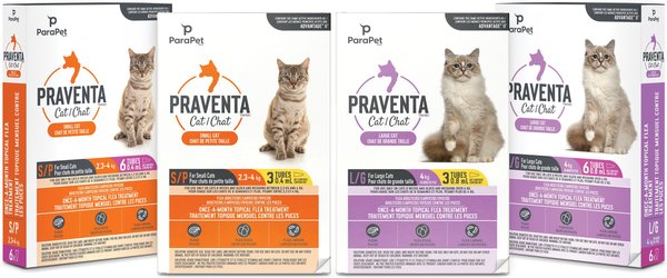 Show full view: Parapet Praventa Flea Treatment for Cats, 2.3-4 kg, 6 count slide 7 of 7