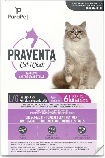 Over the counter flea fashion treatment for cats