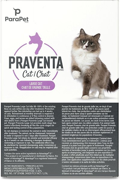 Show full view: Parapet Praventa Flea Treatment for Cats, Over 4 kg, 6 count slide 3 of 7