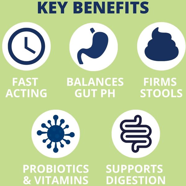 Show full view: Under the Weather Ready Balance Probiotic Dog Supplement, 30-cc syringe slide 4 of 6