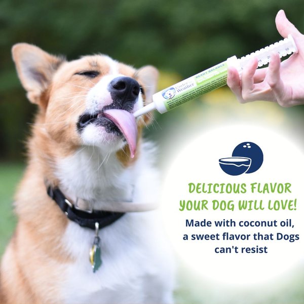 Show full view: Under the Weather Ready Balance Probiotic Dog Supplement, 30-cc syringe slide 5 of 6