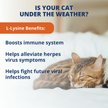 Show in main carousel: Under the Weather L-Lysine Soft Chews Cat Supplement, 60 count slide 3 of 6