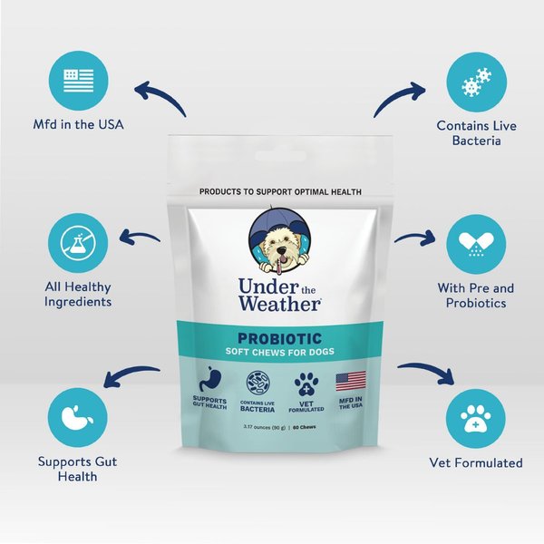 Show full view: Under the Weather Probiotic Soft Chews Dog Supplement, 60 count slide 3 of 9