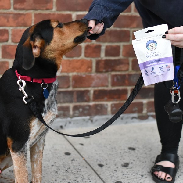 Show full view: Under the Weather Calming Soft Chews Dog Supplement, 60 count slide 6 of 8