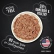 Show in main carousel: Hound & Gatos 98% Gamebird Poultry Formula Grain-Free Canned Cat Food, 5.5-oz, case of 24 slide 2 of 8