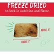 Show in main carousel: Charlee Bear Meaty Bites Chicken & Blueberries Grain-Free Freeze-Dried Dog Treats, 2.5-oz bag slide 5 of 9