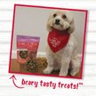 Show in main carousel: Charlee Bear Bearnola Bites Pumpkin Spice Flavor Dog Treats, 8-oz bag slide 8 of 9