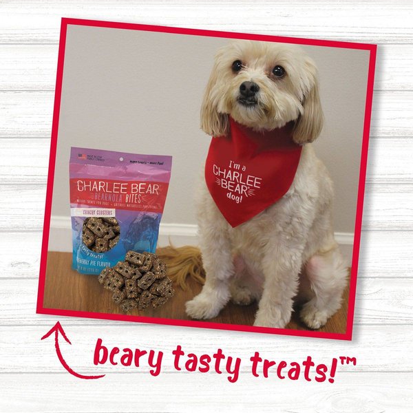 Show full view: Charlee Bear Bearnola Bites Blueberry Pie Flavor Dog Treats, 8-oz bag slide 8 of 9