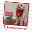 Show in main carousel: Charlee Bear Bearnola Bites Blueberry Pie Flavor Dog Treats, 8-oz bag slide 8 of 9