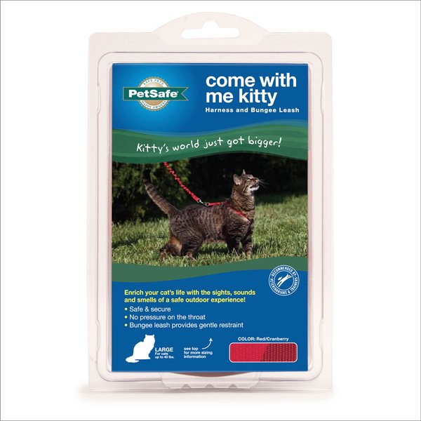 Show full view: PetSafe Come with Me Kitty Nylon Cat Harness & Bungee Leash, Red/Black, Large: 13 to 18-in chest slide 7 of 8
