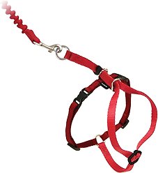 PetSafe Come with Me Kitty Nylon Cat Harness & Bungee Leash, Red/Black, Small: 9 to 11-in chest