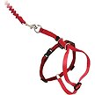 Show in main carousel: PetSafe Come with Me Kitty Nylon Cat Harness & Bungee Leash, Red/Black, Small: 9 to 11-in chest slide 1 of 8