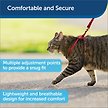 Show in main carousel: PetSafe Come with Me Kitty Nylon Cat Harness & Bungee Leash, Red/Black, Small: 9 to 11-in chest slide 3 of 8
