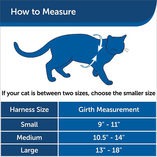 Show full view: PetSafe Come with Me Kitty Nylon Cat Harness & Bungee Leash, Red/Black, Small: 9 to 11-in chest slide 6 of 8