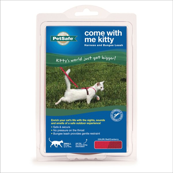 Show full view: PetSafe Come with Me Kitty Nylon Cat Harness & Bungee Leash, Red/Black, Small: 9 to 11-in chest slide 7 of 8