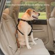 Show in main carousel: Kurgo Direct to Seatbelt Dog Collar Tether slide 4 of 9