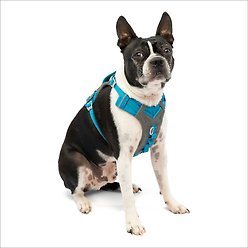 Kurgo Journey Air Polyester Reflective No Pull Dog Harness, Coastal Blue/Charcoal, Small: 16 to 22-in chest