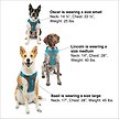 Show in main carousel: Kurgo Journey Air Polyester Reflective No Pull Dog Harness, Coastal Blue/Charcoal, Small: 16 to 22-in chest slide 8 of 10