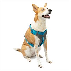 Kurgo Journey Air Polyester Reflective No Pull Dog Harness, Coastal Blue/Charcoal, X-Large: 28 to 44-in chest