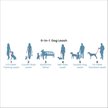 Show in main carousel: Kurgo Quantum 6-In-1 Hands-Free Dog Leash  slide 2 of 9