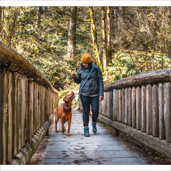 Show full view: Kurgo Quantum 6-In-1 Hands-Free Dog Leash  slide 6 of 9