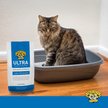 Show in main carousel: Dr. Elsey's Ultra Cat Litter Attractant Additive, 20-oz slide 5 of 9