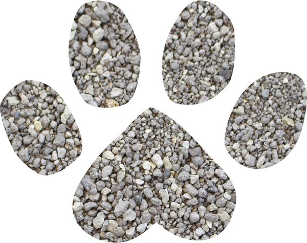 Show full view: Dr. Elsey's Kitten Attract Clumping Clay Cat Litter, 9.07-kg bag slide 6 of 14