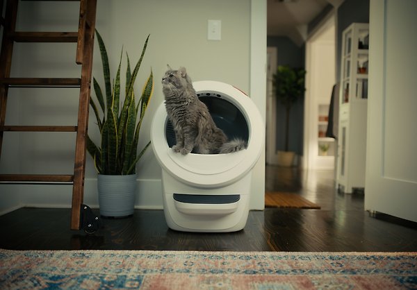Show full view: Litter-Robot 4 Automatic Self-Cleaning Cat Litter Box, White slide 5 of 9
