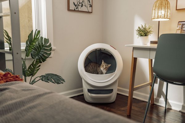 Show full view: Litter-Robot 4 Automatic Self-Cleaning Cat Litter Box, White slide 6 of 9