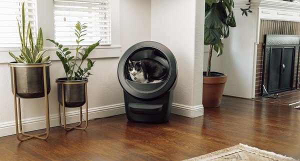 Show full view: Litter-Robot 4 Automatic Self-Cleaning Cat Litter Box, Black slide 6 of 10