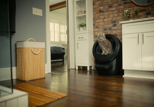 Show full view: Litter-Robot 4 Automatic Self-Cleaning Cat Litter Box, Black slide 7 of 10