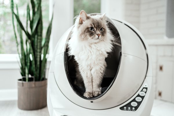 Show full view: Litter-Robot 3 WiFi Enabled Automatic Self-Cleaning Cat Litter Box, Beige slide 5 of 12