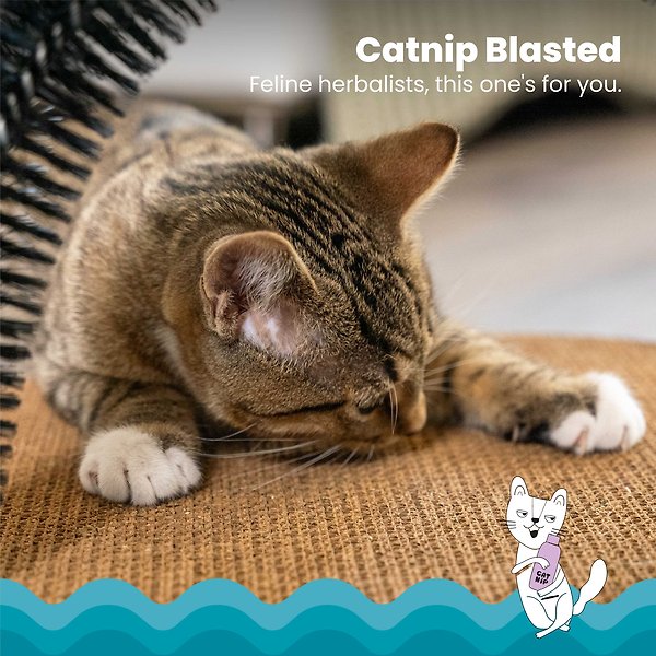 Show full view: Catstages Scratch & Groom Scratch Pad & Grooming Brush Cat Toy slide 3 of 9